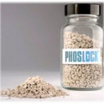 Phoslock锁磷剂