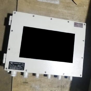 化工工矿用防爆显示器