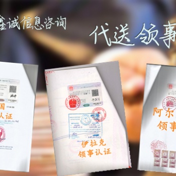 分析报告以色列领事双认证