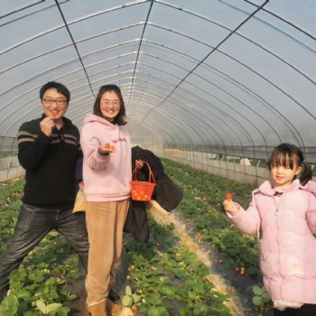 长沙春游亲子户外植树踏青赏花农家乐野炊一日游