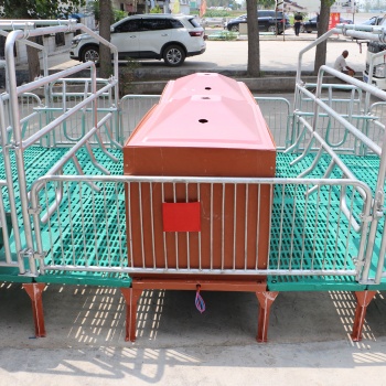养殖用母猪产床 双体全复合板母猪产床