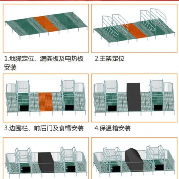 双体母猪产床保育一体