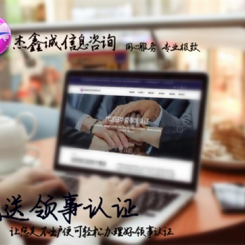 加拿大大使馆双认证审计报告>公司损益表