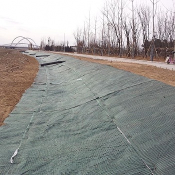 抗冲生物毯，矿区生态复绿生物毯，抗冲生态毯