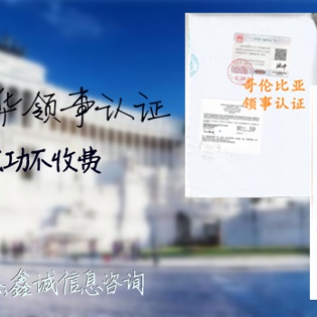 资产负债表<资产负债表毛里求斯领事认证