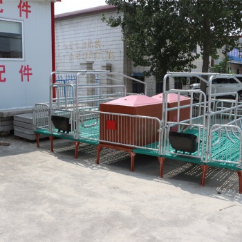 落地式产保一体母猪产床