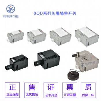 SW-10/II防爆墙壁开关 双控防爆双联开关250V