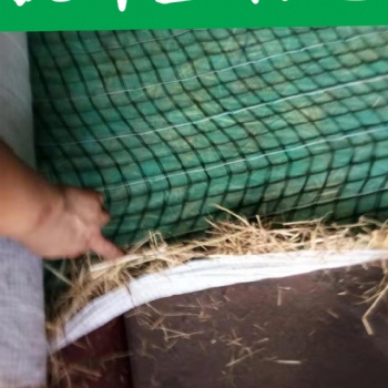 抗冲椰丝毯 带草籽生态纤维植被毯 加筋型麻椰抗冲固土毯