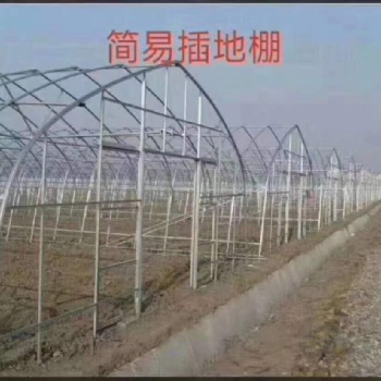 鑫骏通达大棚钢结构生产销售