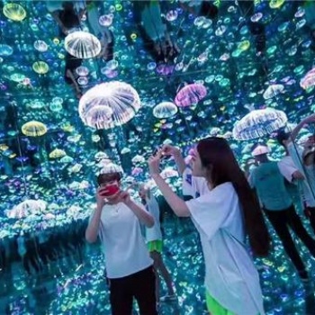 梦幻旅程系列水母世界