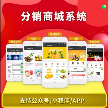 拼购系统软件开发 APP 原生定开发拼团 系统开发公司