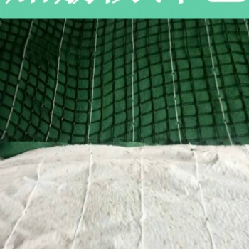 江西椰丝毯供应加筋防冲毯生产基地 生态毯 山西生态毯