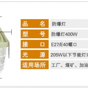 隔爆型防爆灯-BCD
