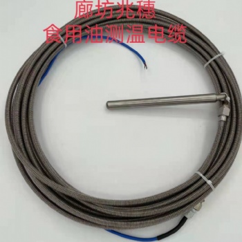 廊坊兆穗厂家生产测温电缆 铠装测温电缆 地源热泵仓测温电缆