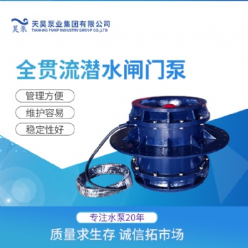 宜昌市雨水泵站用QGWZ全贯流潜水闸门泵选型