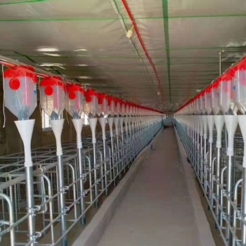 抚顺地区全自动化料线 猪舍养殖设备自动上料线