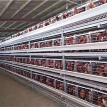 河南鸡笼厂 就选择中州鸡笼 2人可养6万只