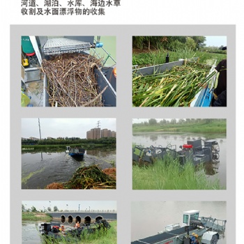 晟河割草船 水葫芦打捞船 浒苔打捞船 水浮莲打捞船 湖面垃圾清理船