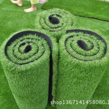 塑料草坪价格北京人造草坪厂家