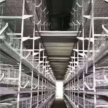 镀锌鸡笼 紧固耐用 厂家生产各种鸡笼设备