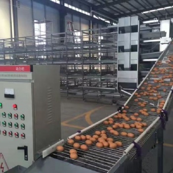 中州牧业供应捡蛋机 集蛋机自动化设备