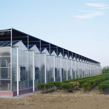 阳光板温室大棚的建设成本