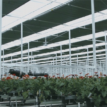 花卉温室大棚内遮阳网和驱动装置