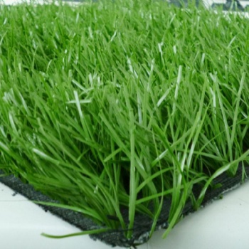北京球场塑料草坪厂 塑料草坪批发价格