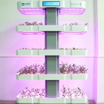 心福地养心吧 室内种植 加湿空气 释放负氧离子 水培蔬菜