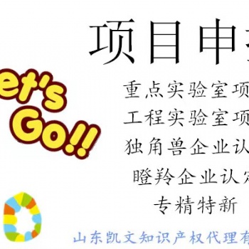 济南市一企一技术申报流程，申报条件