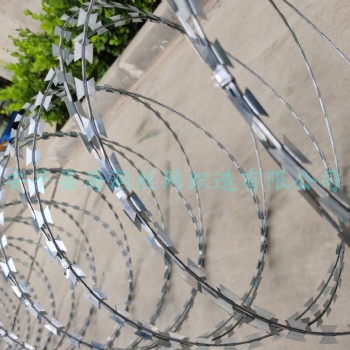 工厂现货销售刀片刺绳 螺旋型刀片刺网 围墙围栏防护防爬刺丝滚笼