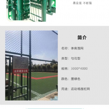宝鸡 球场围网 操场围栏护栏网 厂家定制