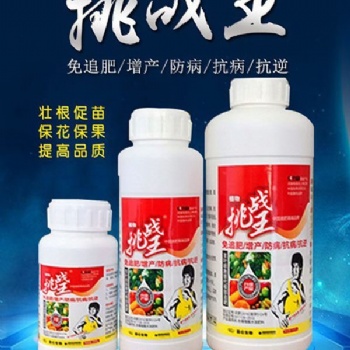 种草莓提苗使用挑战王腐植酸水溶肥