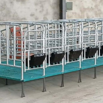 贵州母猪定位栏-母猪产床尺寸-牧泽