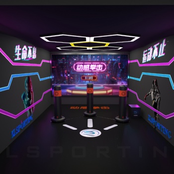 广州市智龙体育-室内模拟拳击游乐场设备运动体验馆设备