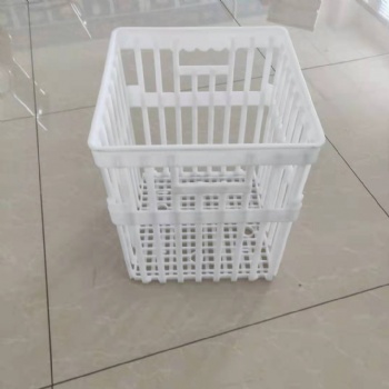 可定制塑料周转筐 运输鸡蛋的塑料蛋筐 36枚鸡蛋筐