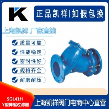 SGL41H Y型伸缩过滤器
