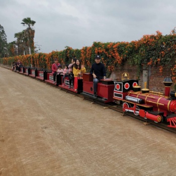 骑式网红景区有轨道观光小火车可坐人游乐设备户外儿童
