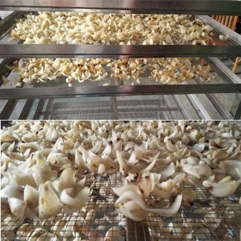 药材百合烘干机热泵烘干设备除湿机烘房烤箱