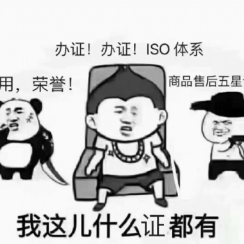 ISO9001质量管理体系