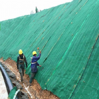 加筋防冲毯植生毯防冲生态毯河道整治城市绿化深受**