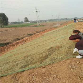 新疆草毯 绿化毯 植物纤维毯 环保草毯 山体生态修复边坡绿
