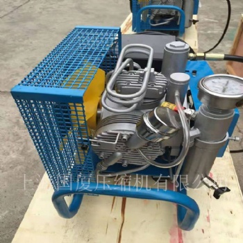 300公斤高压呼吸器空气充气泵