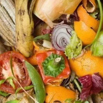 美天环保：厨余垃圾无害化处理都有哪些改进措施