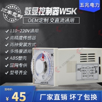 温度控制器 升温型 降温型WK-SH-P WK-JH-P 温湿度控制器WSK（可定制）