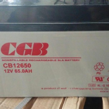 长光蓄电池C12650耐腐蚀高倍率12V6**H