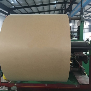 供应可降解材质淋膜纸 淋膜纸卷材 可上自动包装机 源头厂家