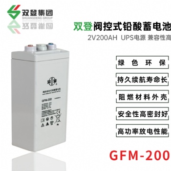 双登GFM-200 2V200AH 免维护铅酸蓄电池 UPS不间断电源 应急照明