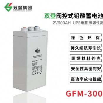 双登GFM-300 2V300AH 阀控密闭式蓄电池 铅酸免维护 UPS不间断电源
