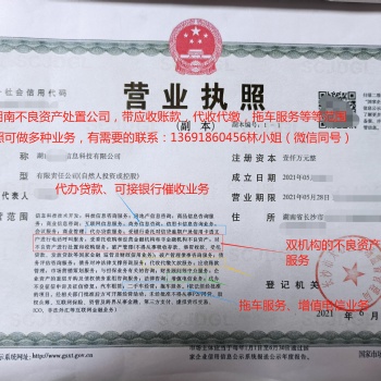 新注册不良资产处置有限公司，价格便宜